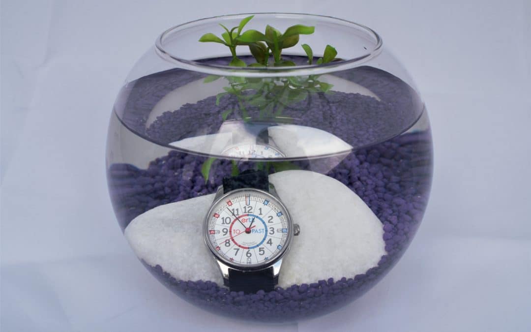 Get Set for Summer with Our Waterproof Time Teaching Watches